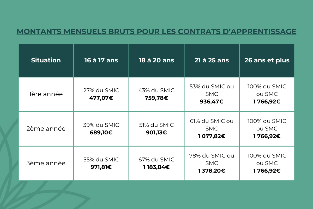 Changements De Salaire Pour Les Apprentis En 2024